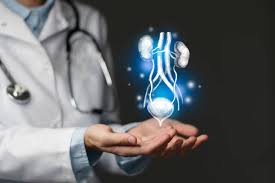 Nephrology Department